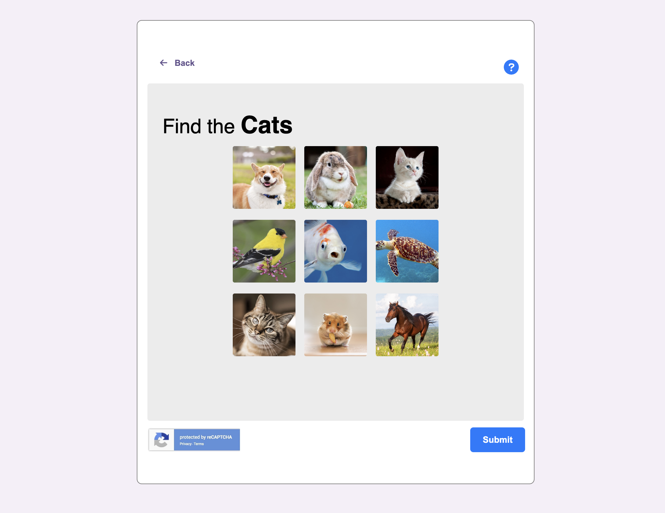 Image challenge interface